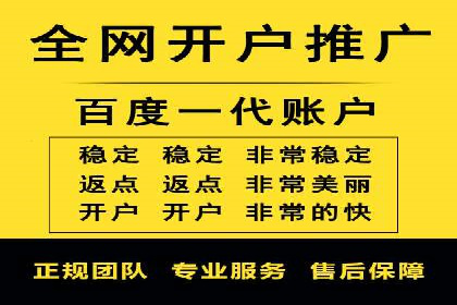 竞价账户优化：成功企业的广告策略揭秘